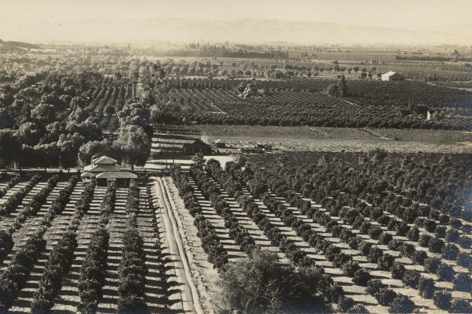 Orange groves, Glendora, California, 1910. Elevated view of orchards with dirt roads and homes.